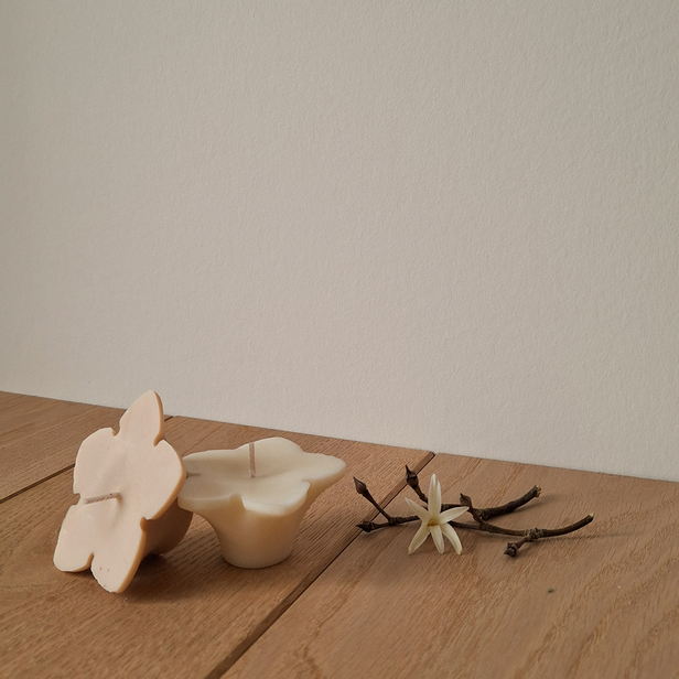 Bougies Flottantes Écologiques