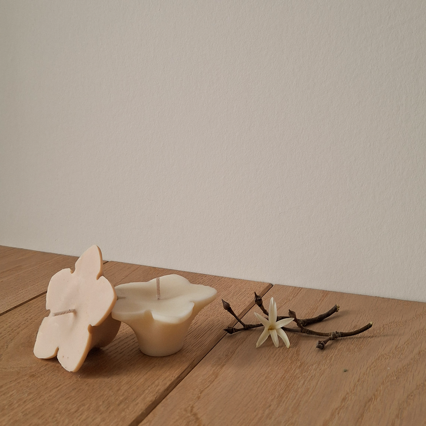 Bougies Flottantes Écologiques