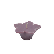 Drijfkaars Bloemvorm 6 cm &ndash; Decoratieve Floating Candle van Koolzaadwas